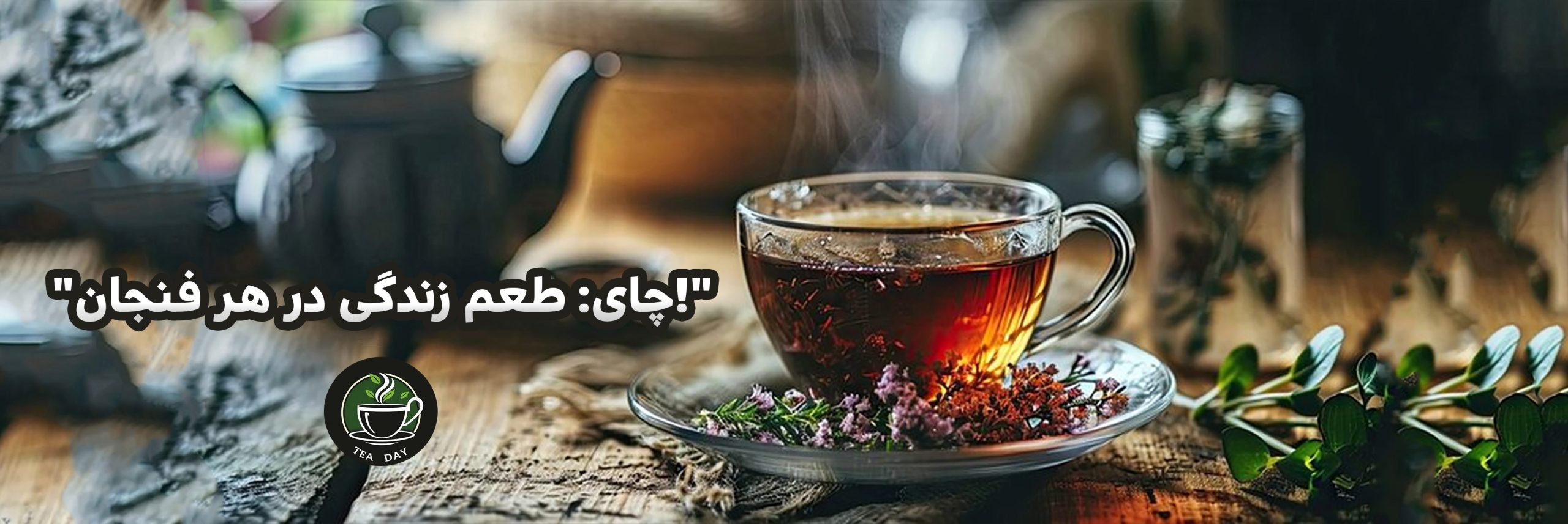 تی دی شاپ .