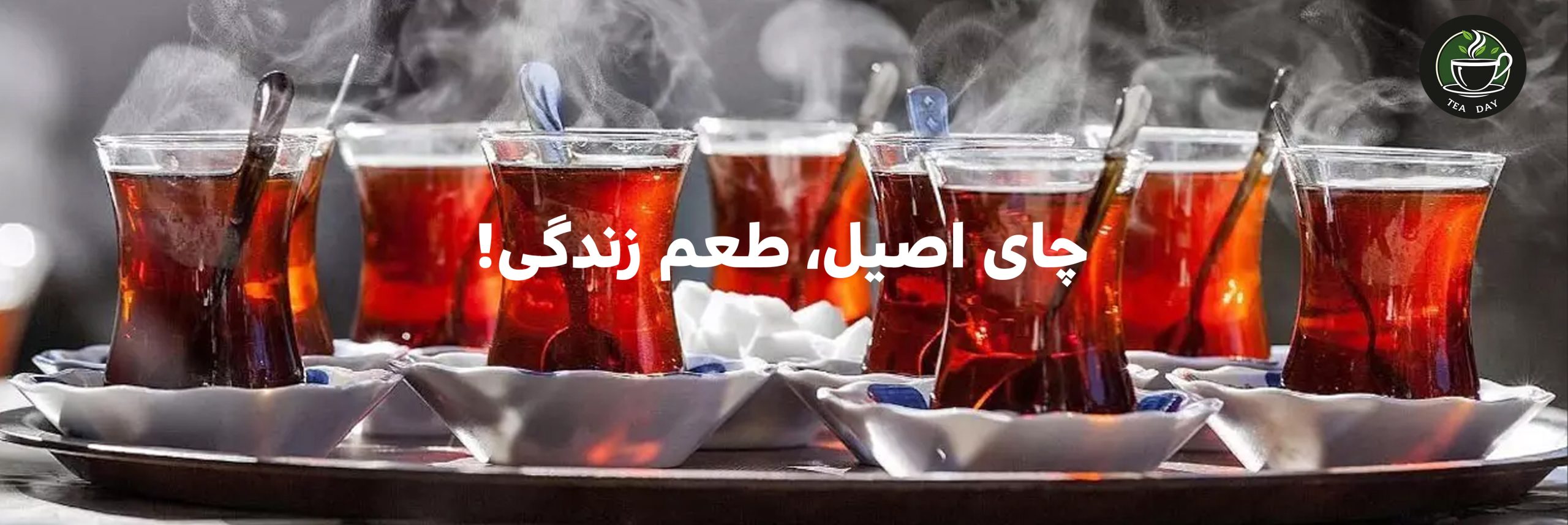 تی دی شاپ..